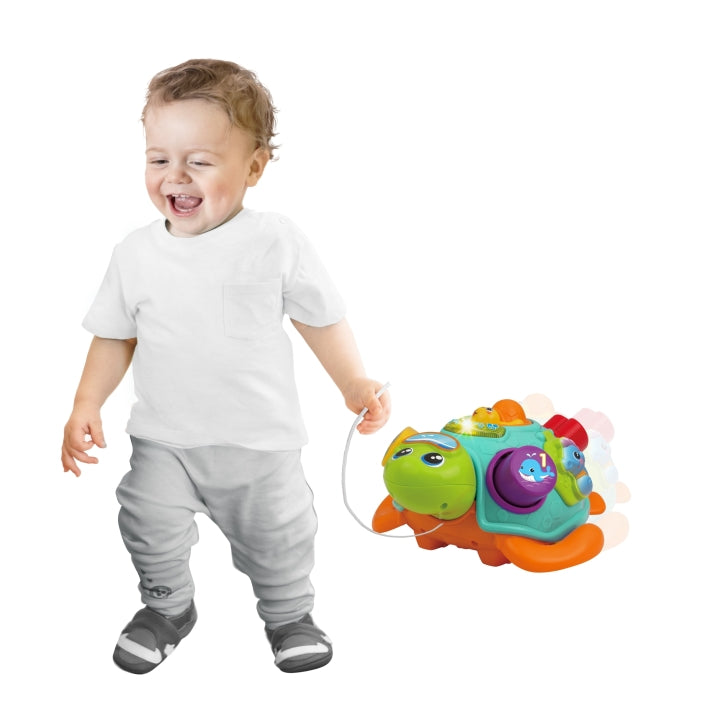 Tortue à Tirer et à Trier – Apprendre en Jouant