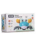 Cute Crab land and water moving toy