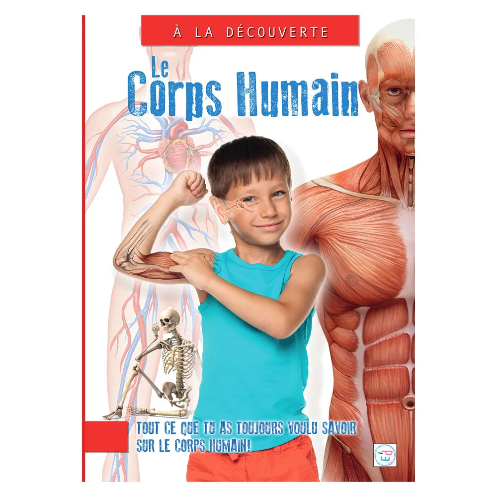 Le Corps Humain