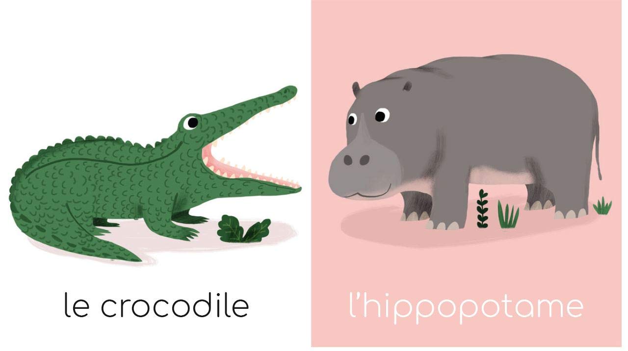 Mon premier imagier : Les animaux sauvages