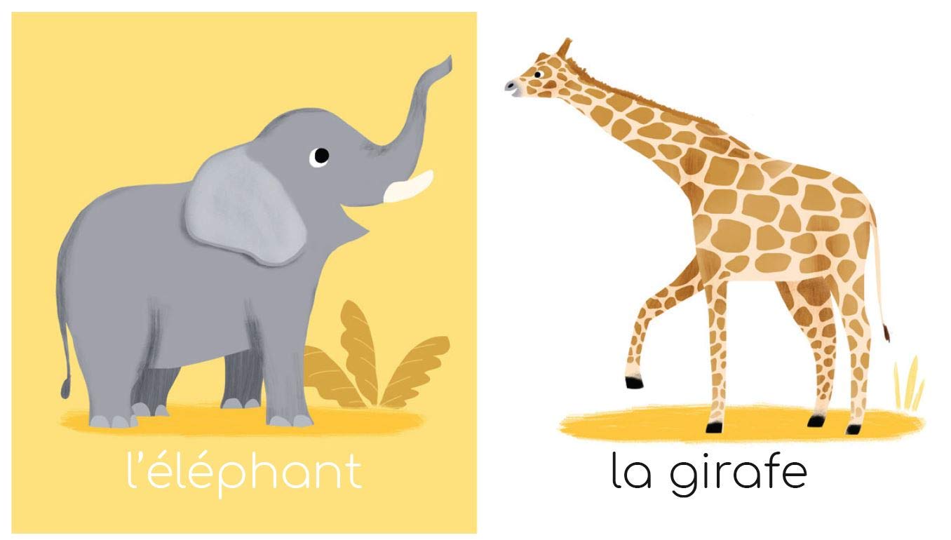 Mon premier imagier : Les animaux sauvages