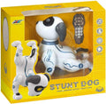 Stunt Dog