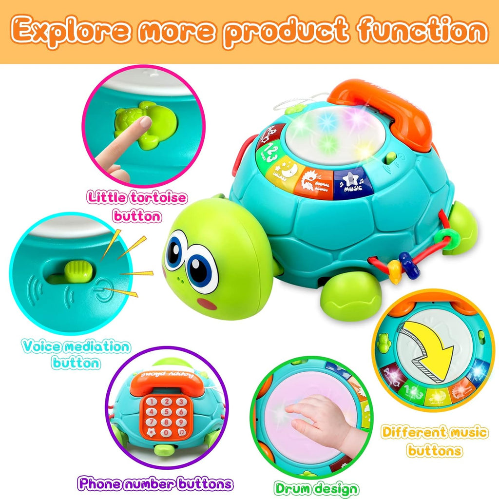 Tortue Interactive Éducative 6–12 Mois