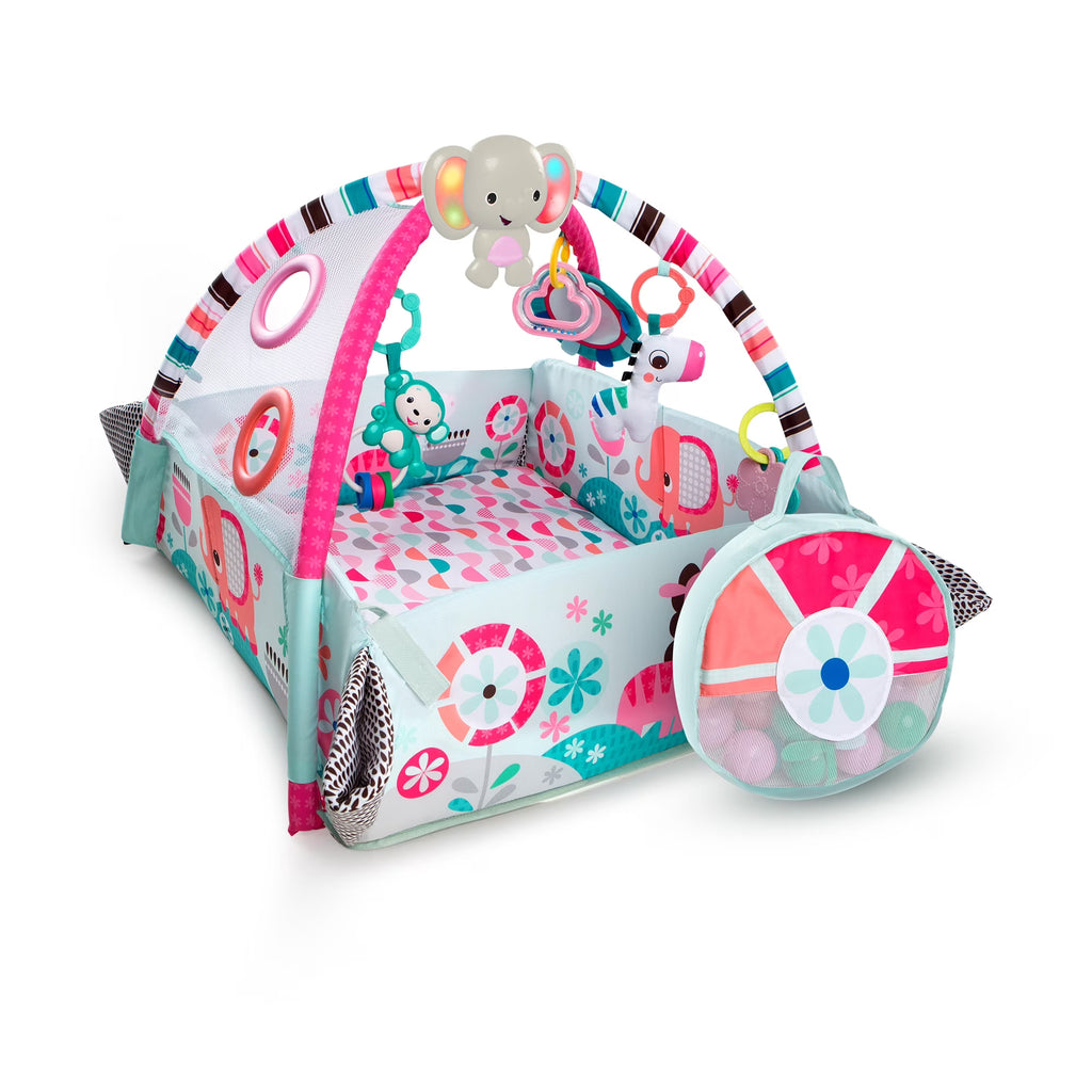 Huanger 5-in-1 Baby Activity Gym & Ball Pit