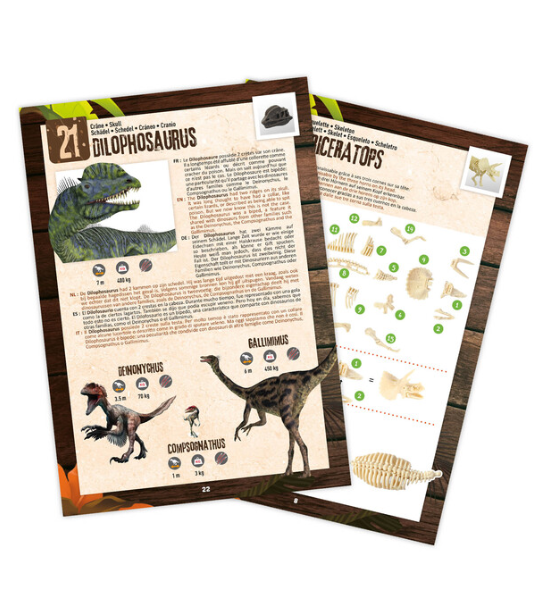 DINO SURPRISE BOX – BUKI