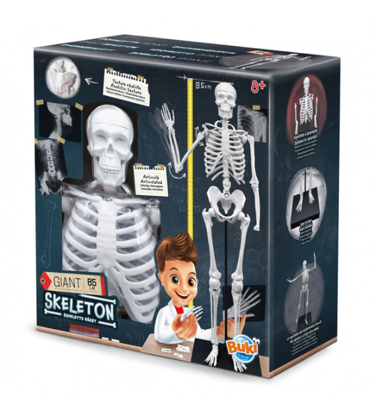 SQUELETTE 85 CM – BUKI