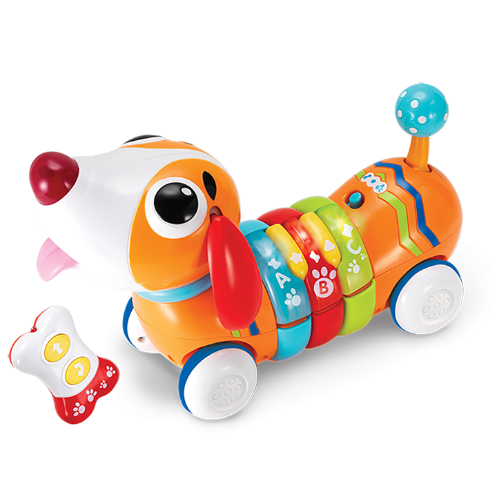 R/C Rainbow Pup