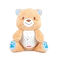2-in-1 Starry Lights Bear