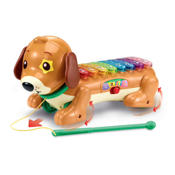 Elton mon rouli xylophone- vtech