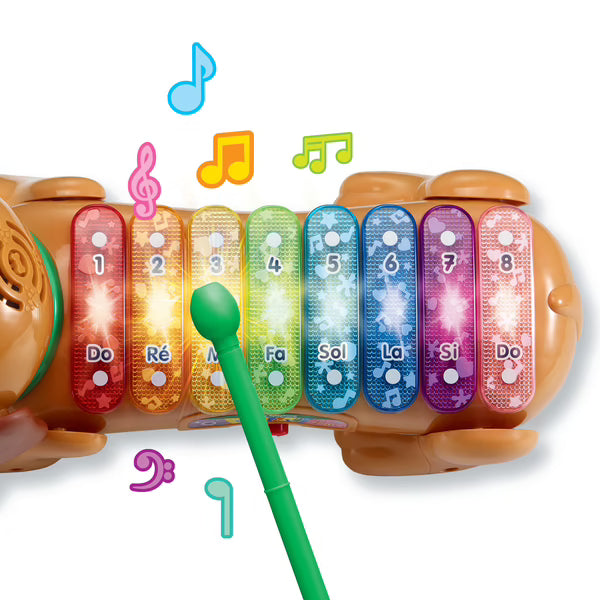 Elton mon rouli xylophone- vtech