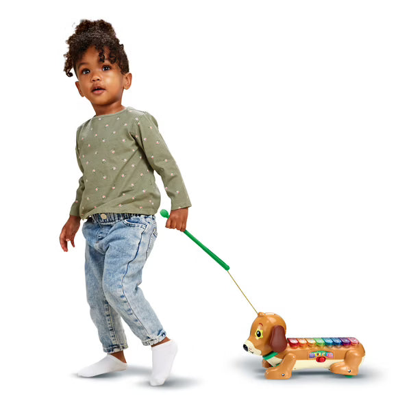 Elton mon rouli xylophone- vtech
