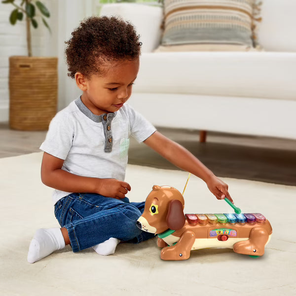 Elton mon rouli xylophone- vtech