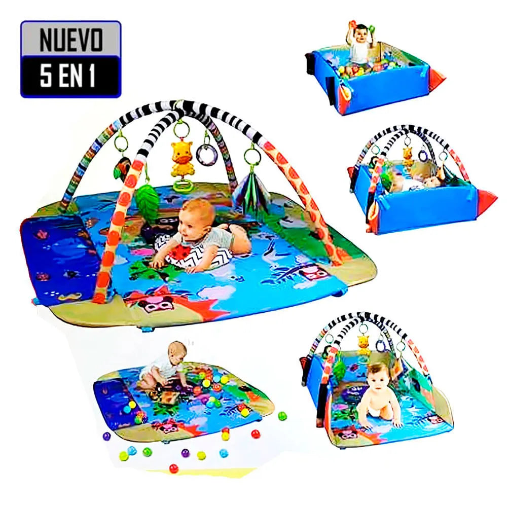 Lionelo Anika Plus multi-functional baby activity gym and ball pit