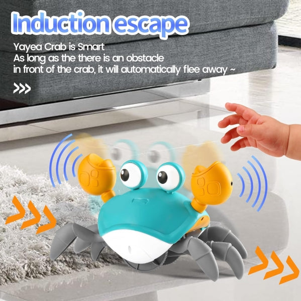 Cute Crab land and water moving toy
