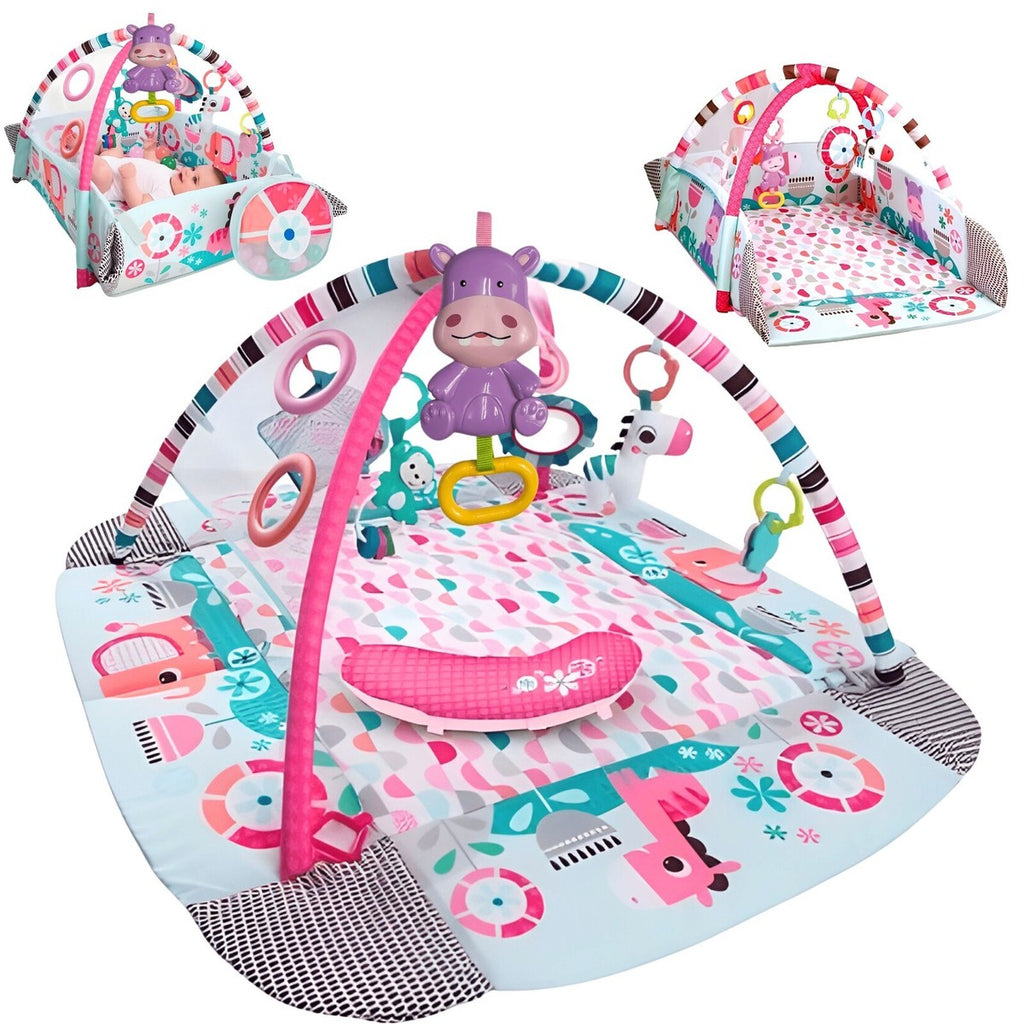 Huanger 5-in-1 Baby Activity Gym & Ball Pit